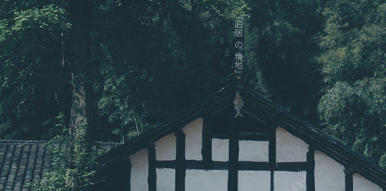 探索什么菜可以吸红烧肉的油的知识星球,获取专业解读与研究